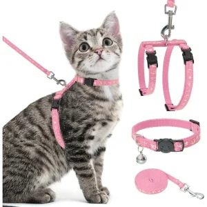 Glow-in-the-Dark H-Shaped Cat Harness with Leash & Collar