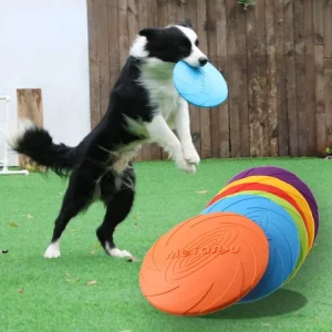 Silicone Flying Disc Dog Toy for Interactive Play