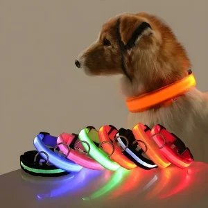 Nylon LED Glow-in-the-Dark Dog Collar