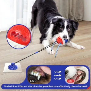 Suction Cup Tug Toy for Aggressive Chewers