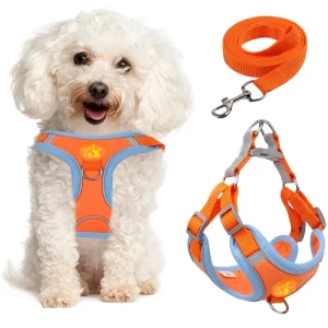 Adjustable Reflective Pet Harness Vest for Dogs & Cats
