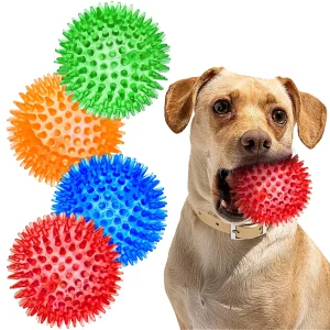 Squeaky Chew Balls for Small & Medium Dogs