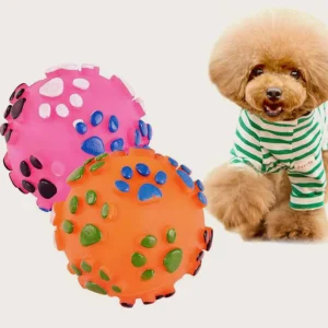 Squeaky Chew Ball Toy for Dogs
