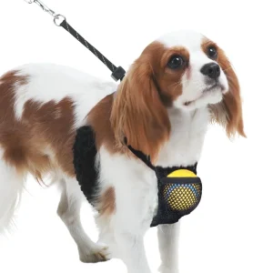 Adjustable Non-Pulling Dog Harness with Storage