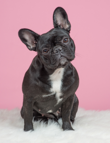 Home_Section1_Image2